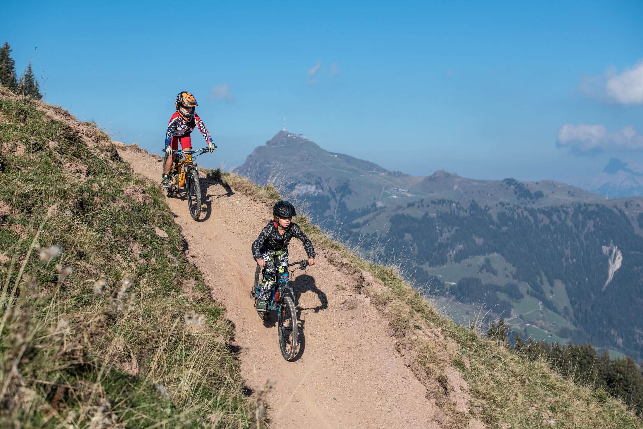 Mountain E-Bike